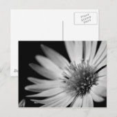 Zwart-witventilator Briefkaart (Voorkant / Achterkant)