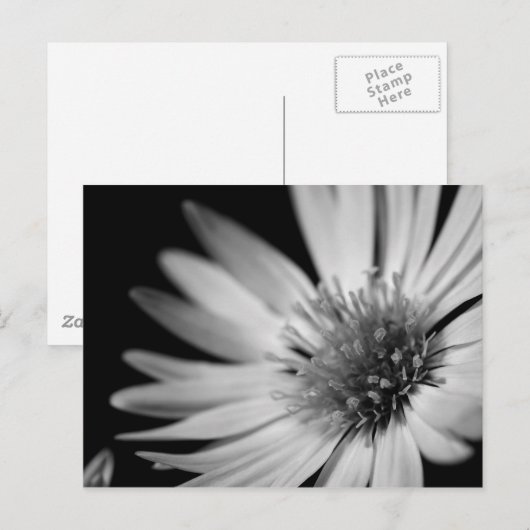 Zwart-witventilator Briefkaart (Voorkant / Achterkant)