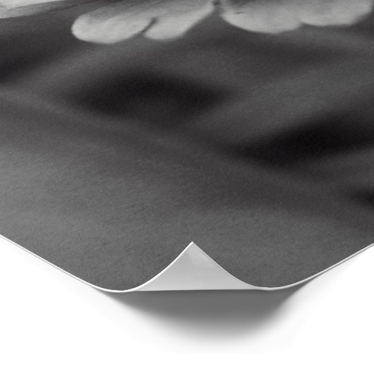 Zwart-witventilator Poster (Hoek)