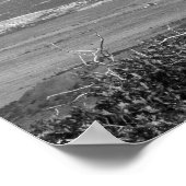 Zwart-witverbrand jeneverbes 16x20 poster (Hoek)