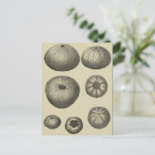 Zwart-witvis Briefkaart (Staand voorkant)