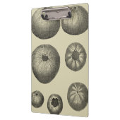 Zwart-witvis Klembord (Links)