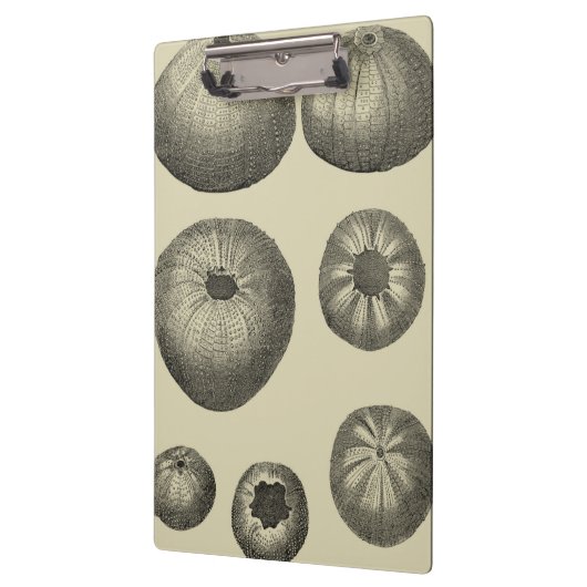 Zwart-witvis Klembord (Links)