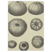 Zwart-witvis Klembord (Achterkant)