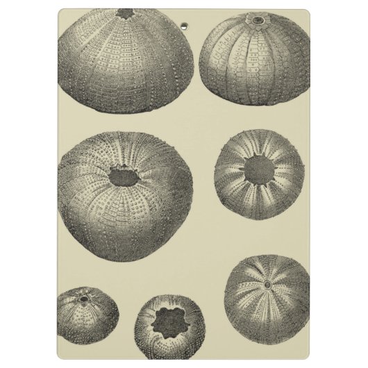 Zwart-witvis Klembord (Achterkant)