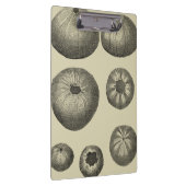 Zwart-witvis Klembord (Rechts)