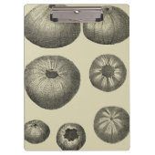 Zwart-witvis Klembord (Voorkant)