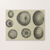 Zwart-witvis Legpuzzel (Horizontaal)