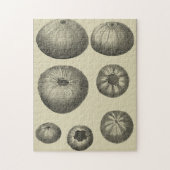 Zwart-witvis Legpuzzel (Verticaal)