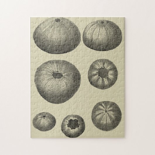 Zwart-witvis Legpuzzel (Verticaal)