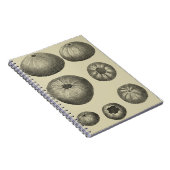 Zwart-witvis Notitieboek (Rechterzijde)