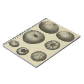 Zwart-witvis Notitieboek (Linkerzijde)