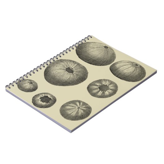 Zwart-witvis Notitieboek (Linkerzijde)