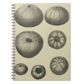 Zwart-witvis Notitieboek (Voorkant)