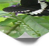 Zwart-witvlinder afdrukken poster (Hoek)