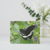 Zwart-witvlinderBriefkaart Briefkaart (Staand voorkant)