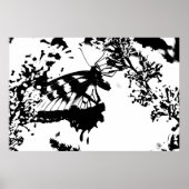 Zwart-witvlinderPoster Poster (Voorkant)