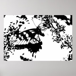 Zwart-witvlinderPoster Poster
