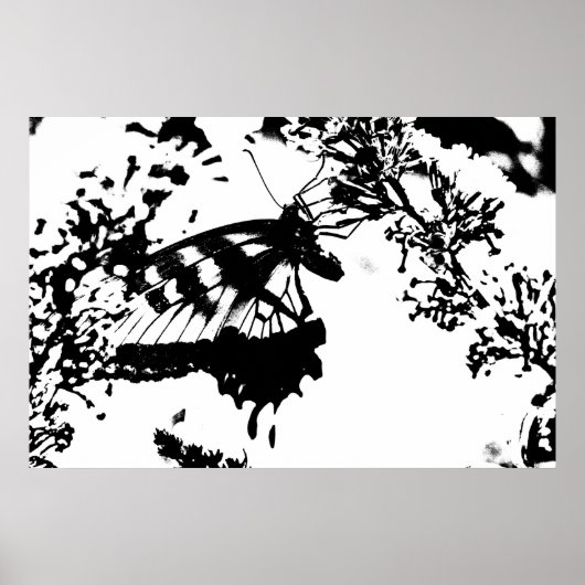Zwart-witvlinderPoster Poster (Voorkant)