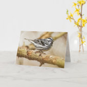 Zwart-witwaarschuwer Kaart (Gele Bloem)