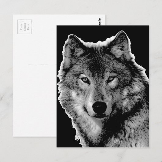 Zwart-witwerk met Wolf Briefkaart (Voorkant / Achterkant)