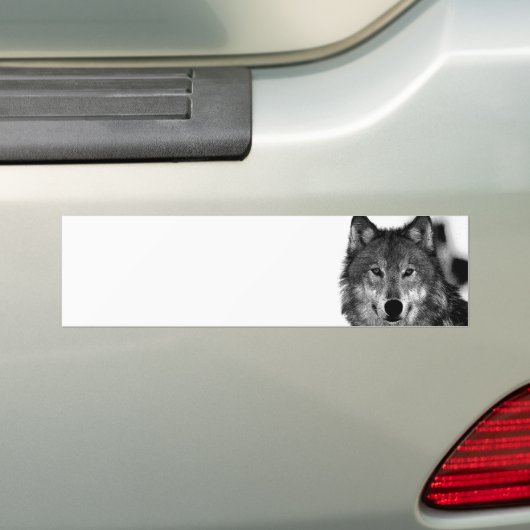 Zwart-witwerk met Wolf Bumpersticker (Op auto)
