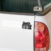 Zwart-witwerk met Wolf Bumpersticker (Op Truck)