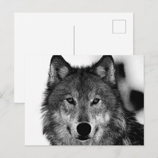 Zwart-witwerk met Wolf Feestdagenkaart (Voorkant / Achterkant)