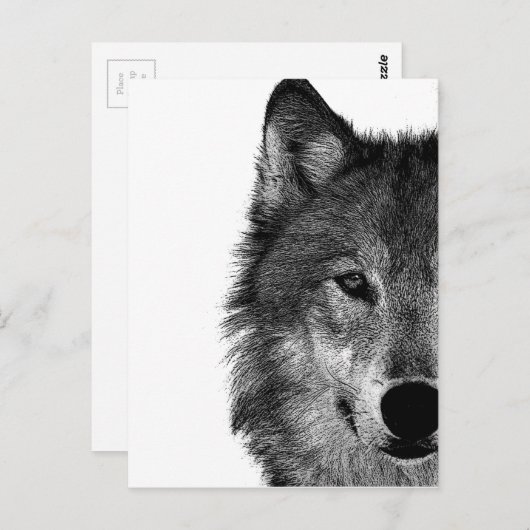 Zwart-witwerk met wolf oog briefkaart (Voorkant / Achterkant)
