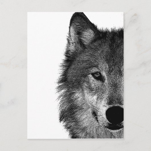 Zwart-witwerk met wolf oog briefkaart (Voorkant)