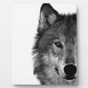 Zwart-witwerk met wolf oog fotoplaat