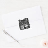 Zwart-witwerk met Wolf Vierkante Sticker (Envelop)
