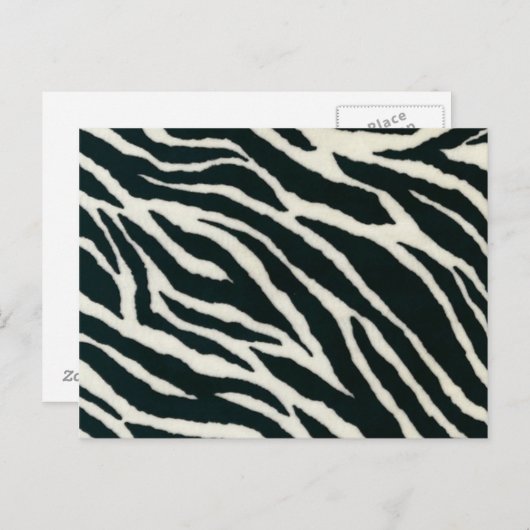 Zwart-witzebra Briefkaarten afdrukken (Voorkant / Achterkant)