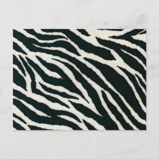 Zwart-witzebra Briefkaarten afdrukken (Voorkant)