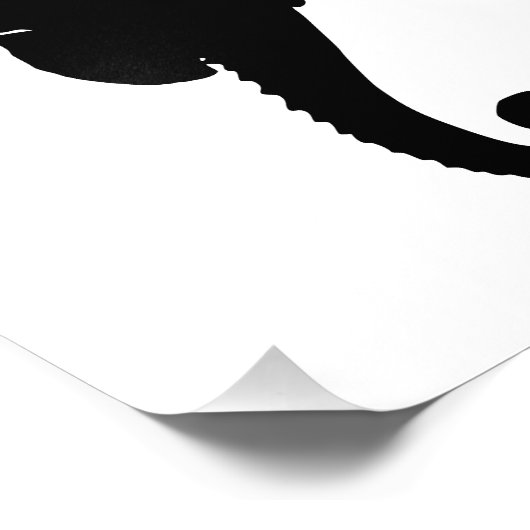 Zwart-witzeepaardje Foto Afdruk (Hoek)