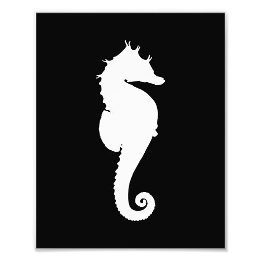 Zwart-witzeepaardje Foto Afdruk (Voorkant)