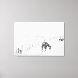 Zwart-witzwart-witlandelijke wilde paarden canvas afdruk