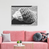 Zwart-witzwart Zee Ocean Shell Canvas Afdruk (Insitu (Woonkamer))