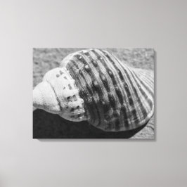 Zwart-witzwart Zee Ocean Shell Canvas Afdruk