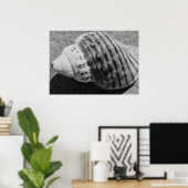 Zwart-witzwart Zee Ocean Shell Poster (Thuiskantoor)