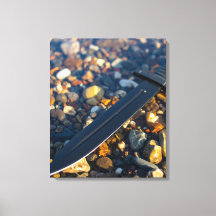 Zwart zwaard in ondiep water