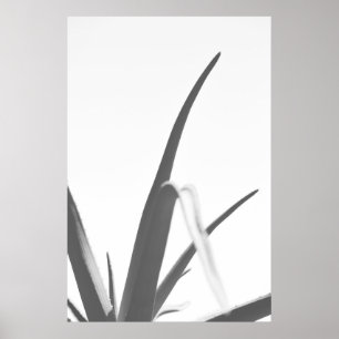 Zwart zwart wit zwart Plant lekt Poster