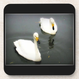 Zwart zwemwater drankjes onderzetter