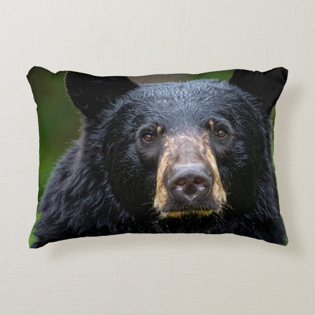 Zwartbeer Wilde Natuur Design Accent Kussen (Voorkant)