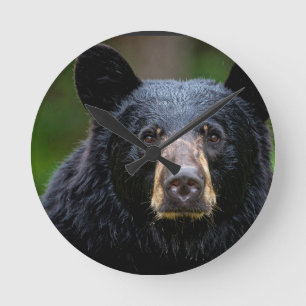Zwartbeer Wilde Natuur Design Ronde Klok