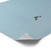 Zwartbenige kittiwake poster (Hoek)