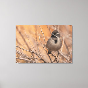 zwartbonte mus canvas afdruk