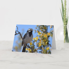 zwartbonte mus kaart