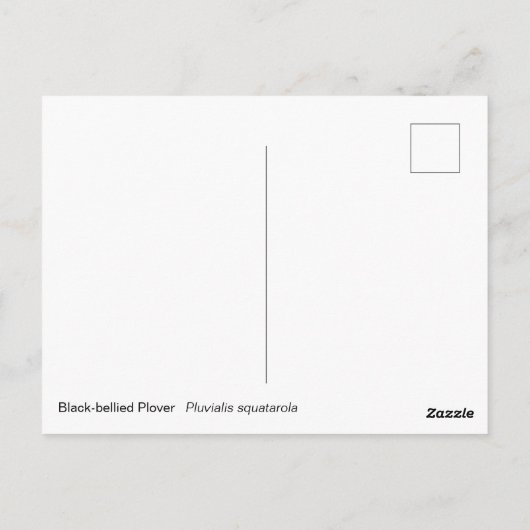 zwartbuikplevier briefkaart (Achterkant)