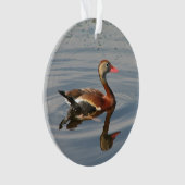 Zwartbuikspiering Ornament (voorkant)